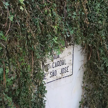 Apartament Avenida Da Liberdade Area, Bright And Newly Renovated 2 Bedroom Apartment, Historical Center Lizbona